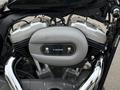 Harley-Davidson  Sportster 1200 2009 года за 4 900 000 тг. в Павлодар – фото 2
