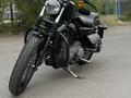 Harley-Davidson  Sportster 1200 2009 года за 4 900 000 тг. в Павлодар