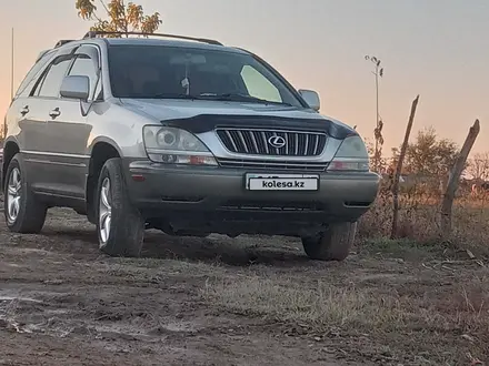 Lexus RX 300 2002 года за 6 600 000 тг. в Шымкент – фото 12