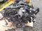 ДВИГАТЕЛИ 3GR-FE,4GR-FE TOYOTA, LEXUS ДВС(2AZ/2AR/1MZ/3MZ/2GR/3GR/4GR/VQ35) за 51 000 тг. в Алматы