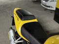 Honda  CBR 929RR Fireblade 2001 года за 2 000 000 тг. в Алматы – фото 14
