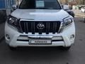 Toyota Land Cruiser Prado 2014 годаүшін16 500 000 тг. в Алматы – фото 12