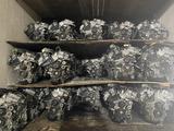 ДВИГАТЕЛИ 3GR-FE, 4GR-FE TOYOTA, LEXUS ДВС (2AZ/2AR/1MZ/3MZ/2GR/3GR/4GR/VQ3 за 300 000 тг. в Алматы – фото 3