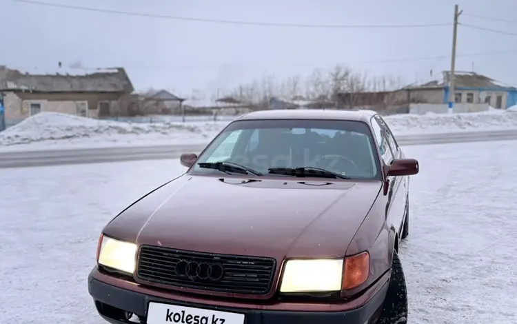 Audi 100 1991 годаүшін1 370 000 тг. в Петропавловск