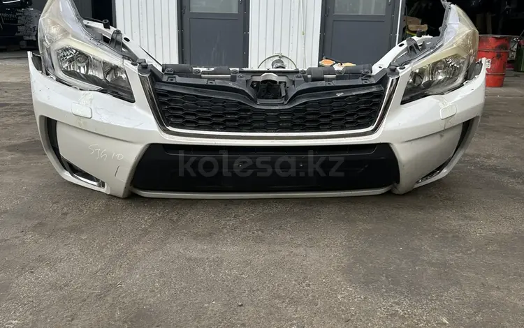 Ноускат за 1 000 тг. в Шымкент