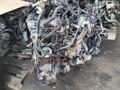 Двигатель VQ40 YD25 DE VQ40DE 4.0 DDTI YD25DDTI 2.5 АКПП КПП автомат за 1 200 000 тг. в Алматы – фото 13