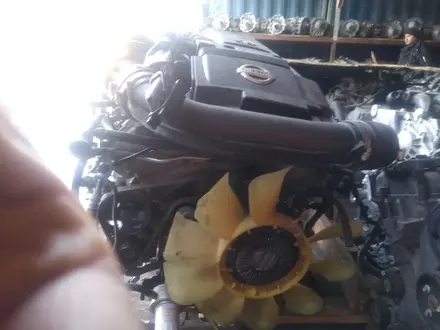 Двигатель VQ40 YD25 АКПП автомат за 1 200 000 тг. в Алматы – фото 15