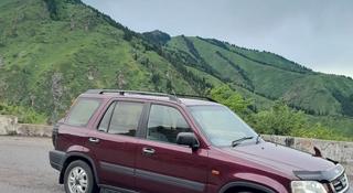 Honda CR-V 1995 года за 3 100 000 тг. в Алматы