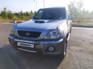 Hyundai Terracan, 2004