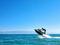 BRP, Seadoo Bombardier… за 3 500 000 тг. в Алматы