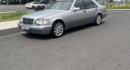 Mercedes-Benz S 320 1997 года за 8 000 000 тг. в Шымкент