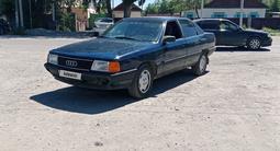Audi 100 1989 годаүшін1 500 000 тг. в Жаркент