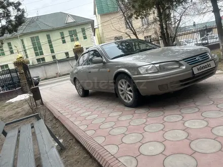 Toyota Camry 1999 года за 5 150 000 тг. в Шымкент – фото 4