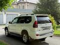 Toyota Land Cruiser Prado 2009 годаүшін15 500 000 тг. в Шымкент – фото 9
