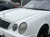 Mercedes-Benz E 55 AMG 2001 годаfor5 800 000 тг. в Алматы – фото 4