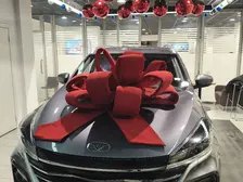 Kaiyi X3, 2026