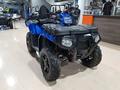 Polaris  Квадроциклы, 500 — 1000 куб Опт — Розница 2026 годаүшін549 900 тг. в Алматы – фото 9