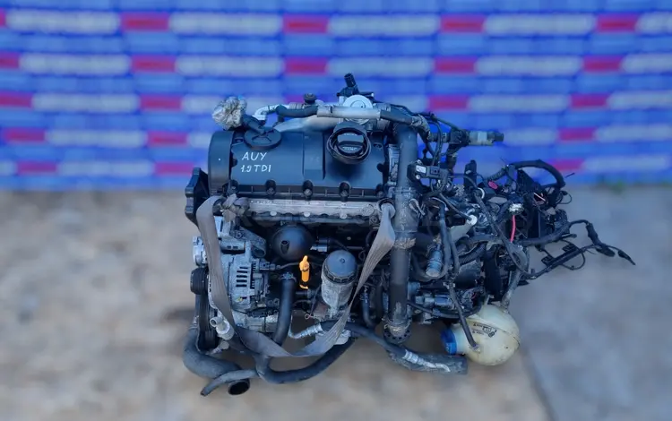 Двигатель AUY на Volkswagen, Ford, Seat 1.9 TDI за 445 500 тг. в Кокшетау