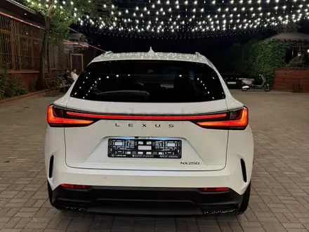 Lexus NX 250 2022 года за 32 000 000 тг. в Алматы – фото 6