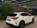 Lexus NX 250 2022 года за 32 000 000 тг. в Алматы – фото 7