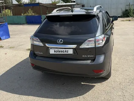 Lexus RX 350 2010 года за 12 400 000 тг. в Усть-Каменогорск – фото 5