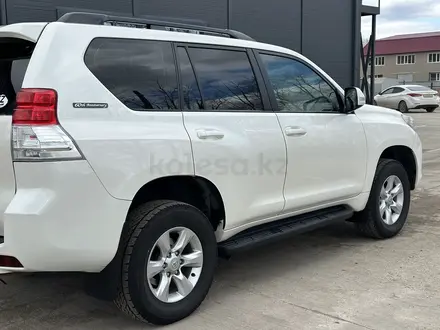 Toyota Land Cruiser Prado 2012 года за 15 500 000 тг. в Петропавловск – фото 9