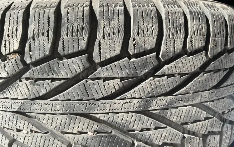 NOKIAN HAKKAPELITTA r2 285/50 r20 116r xl за 219 000 тг. в Алматы