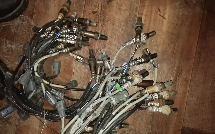 Лямбдозонд Тойота Рав-4 (Rav-4) за 505 тг. в Алматы