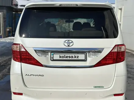 Toyota Alphard 2010 года за 9 500 000 тг. в Кокшетау – фото 5