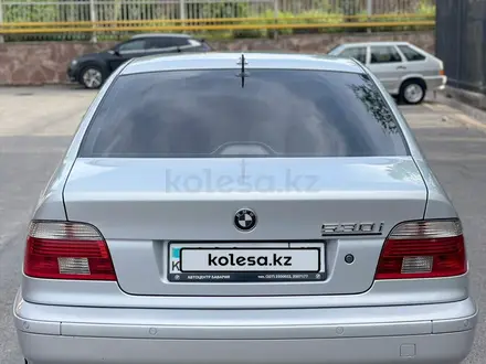 BMW 330 2003 года за 6 000 000 тг. в Шымкент – фото 6