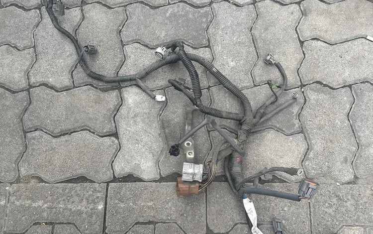 Проводка коса подпаучная (США) за 2 025 тг. в Алматы