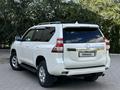 Toyota Land Cruiser Prado 2014 годаүшін16 000 000 тг. в Семей – фото 6