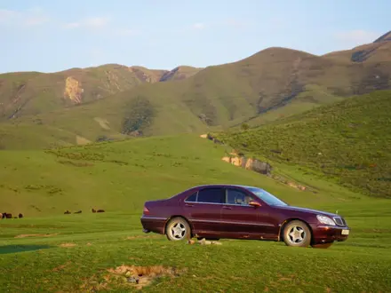 Mercedes-Benz S 500 1999 года за 2 900 000 тг. в Алматы – фото 3