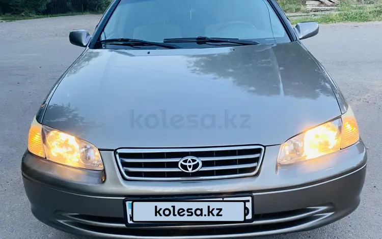 Toyota Camry 2001 года за 3 500 000 тг. в Алматы