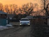 Toyota Windom 1997 годаүшін3 800 000 тг. в Семей