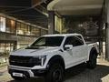 Ford F-Series 2024 года за 73 000 000 тг. в Алматы