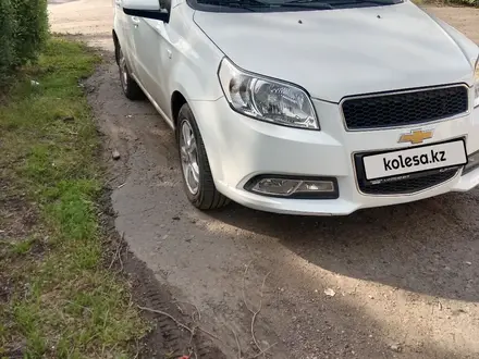 Chevrolet Nexia 2022 года за 4 500 000 тг. в Петропавловск – фото 11