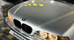 BMW 530 2001 годаүшін5 500 000 тг. в Тараз – фото 5