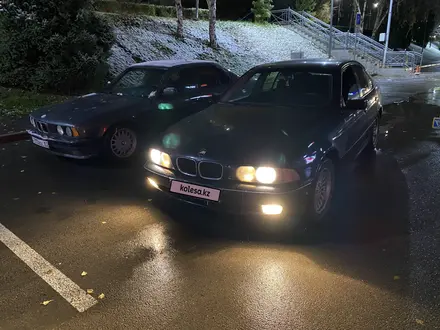 BMW 523 1999 года за 3 350 000 тг. в Алматы – фото 21