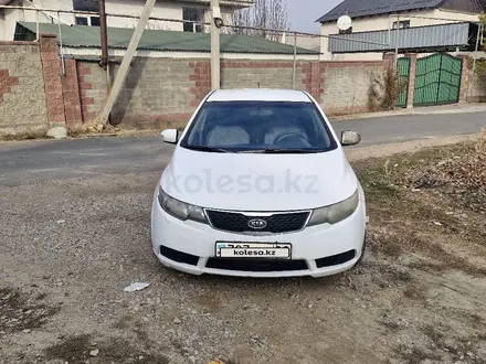 Kia Cerato 2012 года за 3 400 000 тг. в Алматы – фото 2