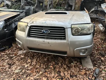 Ноускат , мини морда Subaru forester sg5 Рестаил за 500 000 тг. в Алматы