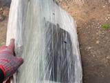 Рено Дастер крышка багажника за 150 000 тг. в Астана – фото 5