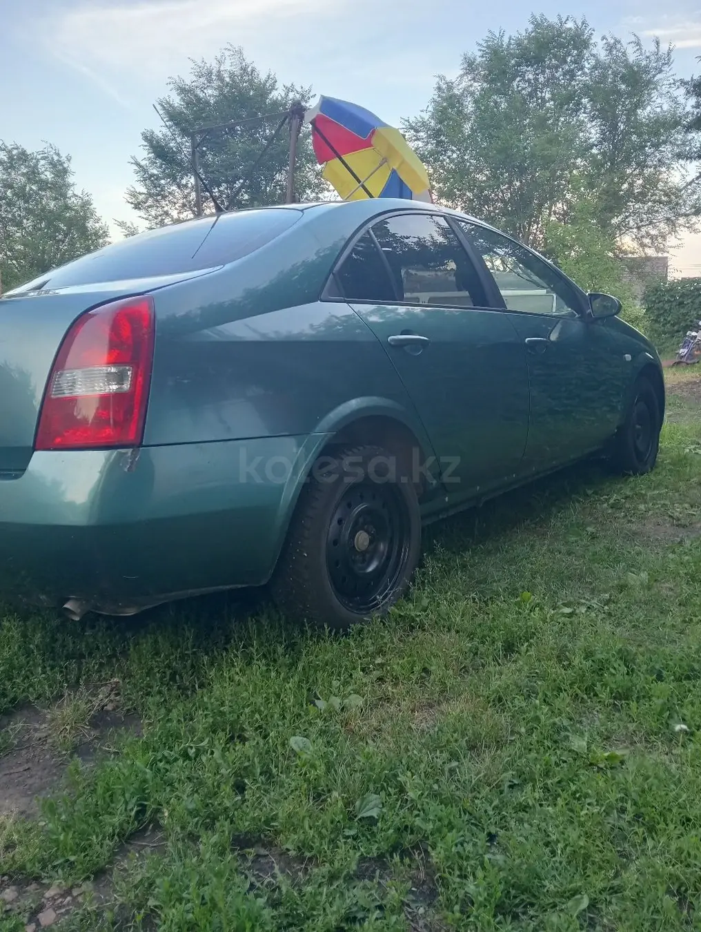 Nissan Primera, 2003
