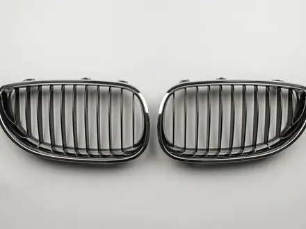 Решетка радиатора (ноздри) BMW E60 за 30 000 тг. в Алматы