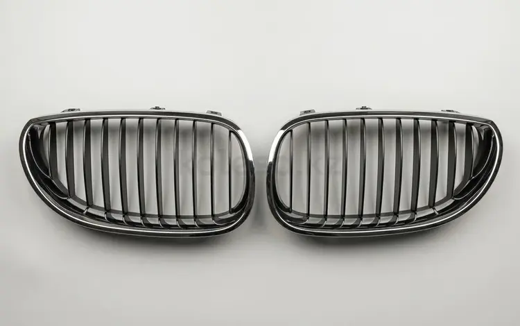 Решетка радиатора (ноздри) BMW E60 за 30 000 тг. в Алматы