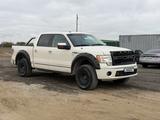 Ford F-Series 2009 года за 15 000 000 тг. в Караганда – фото 3