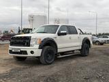 Ford F-Series 2009 года за 15 000 000 тг. в Караганда
