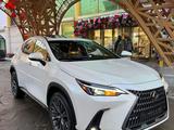 Lexus NX 350h 2022 годаfor30 000 000 тг. в Шымкент – фото 2