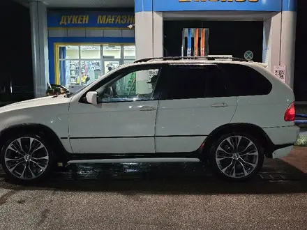 BMW X5 2003 года за 4 500 000 тг. в Алматы – фото 27