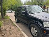 Honda CR-V 2000 года за 4 300 000 тг. в Алматы – фото 3